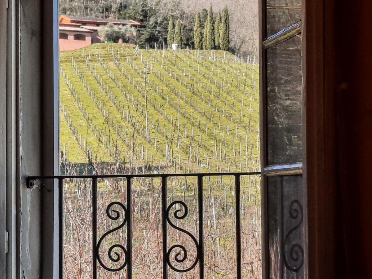 Agriturismo Tenuta Adamo Лукка Екстер'єр фото