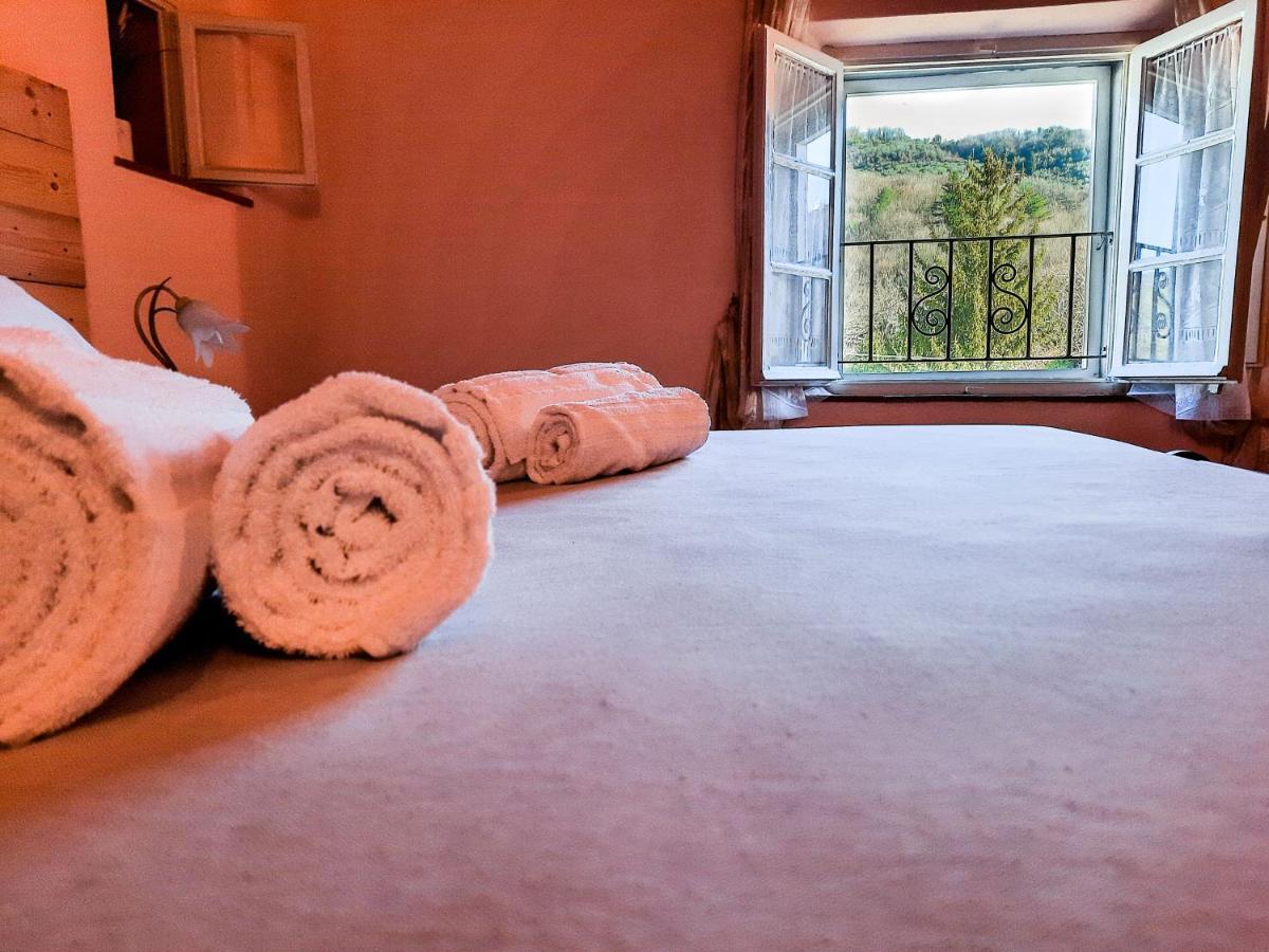Agriturismo Tenuta Adamo Лукка Екстер'єр фото