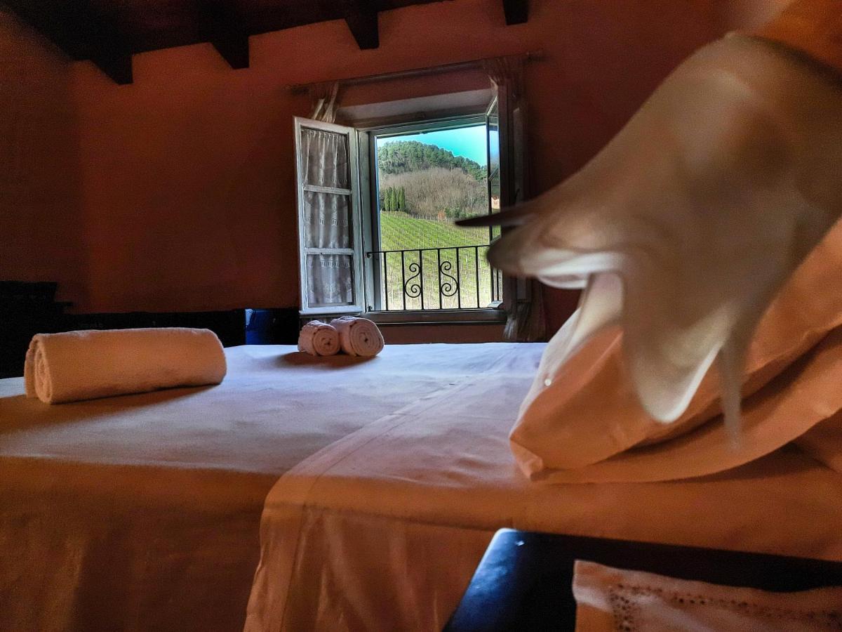 Agriturismo Tenuta Adamo Лукка Екстер'єр фото